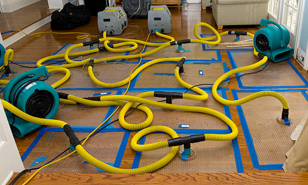 Professional Water Extraction technician working in Springdale, NC